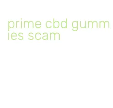 prime cbd gummies scam