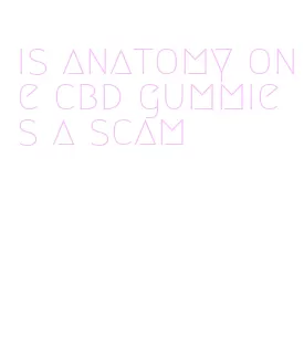 is anatomy one cbd gummies a scam