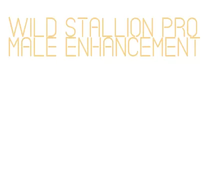 wild stallion pro male enhancement