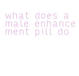 what does a male enhancement pill do