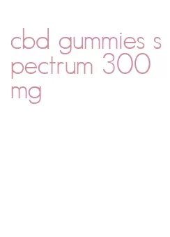 cbd gummies spectrum 300 mg