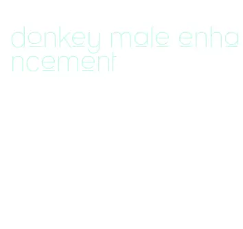 donkey male enhancement