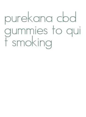 purekana cbd gummies to quit smoking