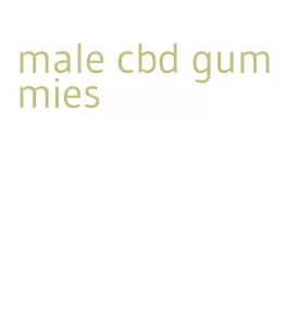 male cbd gummies