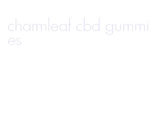 charmleaf cbd gummies