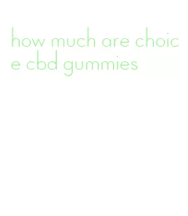 how much are choice cbd gummies