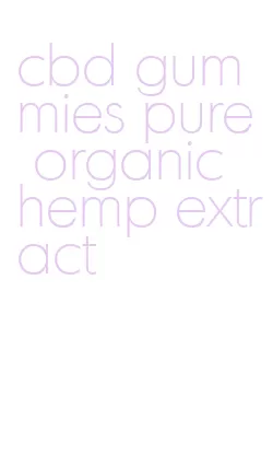 cbd gummies pure organic hemp extract