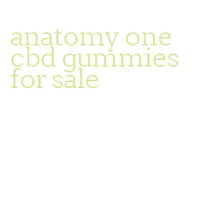 anatomy one cbd gummies for sale