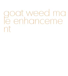 goat weed male enhancement
