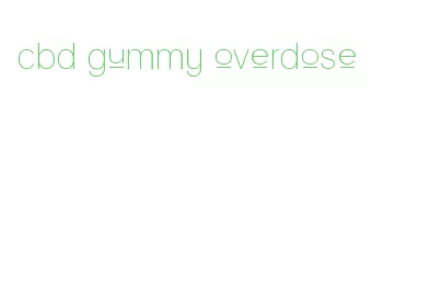 cbd gummy overdose