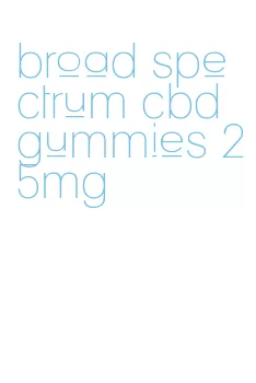broad spectrum cbd gummies 25mg