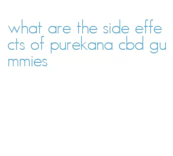 what are the side effects of purekana cbd gummies