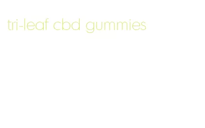 tri-leaf cbd gummies