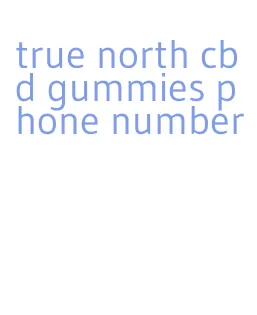 true north cbd gummies phone number