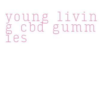 young living cbd gummies