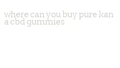 where can you buy pure kana cbd gummies