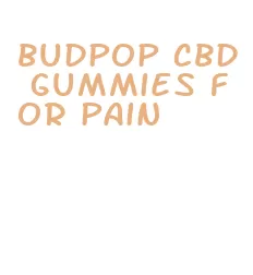 budpop cbd gummies for pain