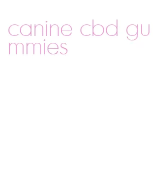 canine cbd gummies