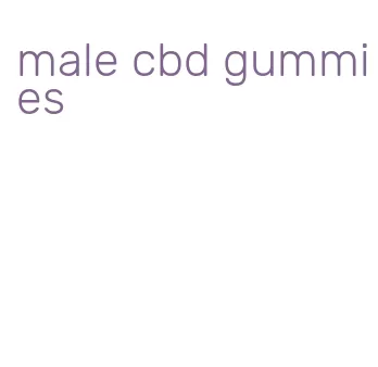 male cbd gummies