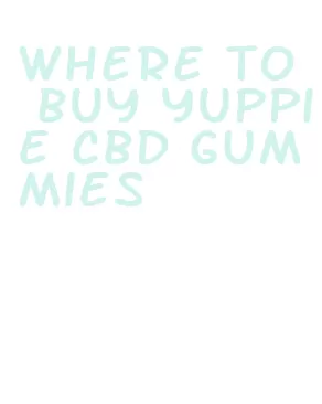 where to buy yuppie cbd gummies