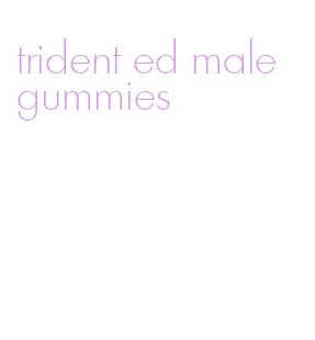 trident ed male gummies