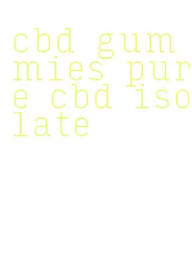 cbd gummies pure cbd isolate