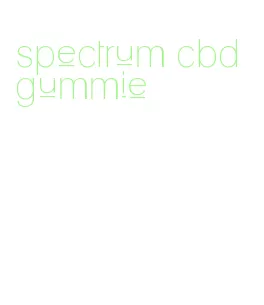 spectrum cbd gummie