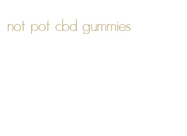 not pot cbd gummies