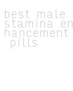 best male stamina enhancement pills