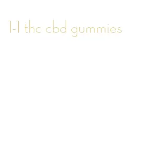 1-1 thc cbd gummies