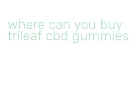 where can you buy trileaf cbd gummies