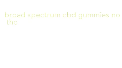 broad spectrum cbd gummies no thc