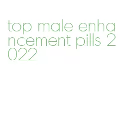 top male enhancement pills 2022