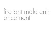 fire ant male enhancement