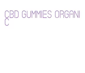 cbd gummies organic