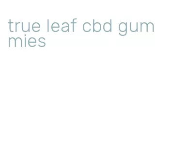 true leaf cbd gummies