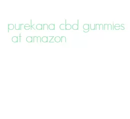 purekana cbd gummies at amazon