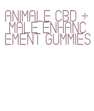 animale cbd + male enhancement gummies