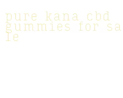 pure kana cbd gummies for sale