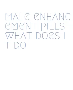 male enhancement pills what does it do
