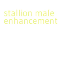 stallion male enhancement