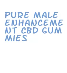 pure male enhancement cbd gummies