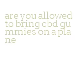 are you allowed to bring cbd gummies on a plane