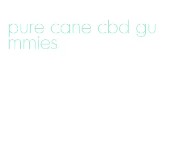pure cane cbd gummies