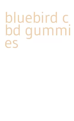 bluebird cbd gummies