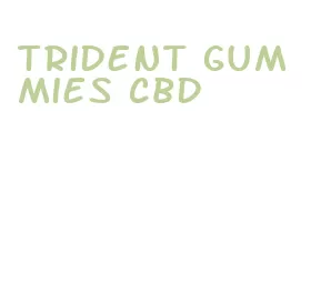 trident gummies cbd