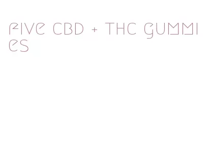 five cbd + thc gummies