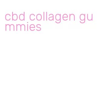 cbd collagen gummies
