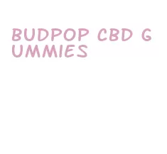 budpop cbd gummies