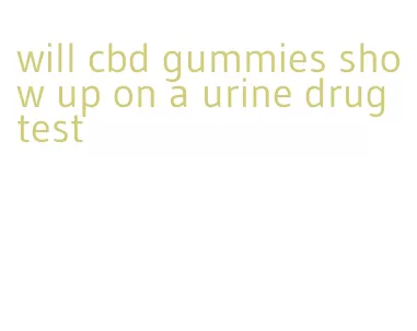 will cbd gummies show up on a urine drug test
